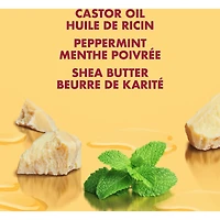 SheaMoisture Jamaican Black Castor Oil Stengthen & Restore shampoo for Damaged Hair with Shea Butter, Peppermint & Apple Cider Vinegar To Cleanse and Nourish Hair 384 ml