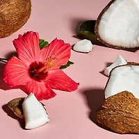 SheaMoisture Noix de Coco et Hibiscus Shampooing Boucles et Brillance pour cheveux épais et bouclés avec protéine de soie et huile de margousier sans sulfates 384 ml