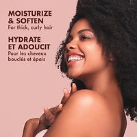 SheaMoisture Noix de Coco et Hibiscus Revitalisant Boucles et Brillance pour cheveux épais et bouclés avec protéine de soie et huile de margousier pour hydrater et adoucir 384 ml