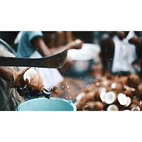 100% Coconut Oil Body Lotion for all skin types Daily Hydration with organic raw shea butter