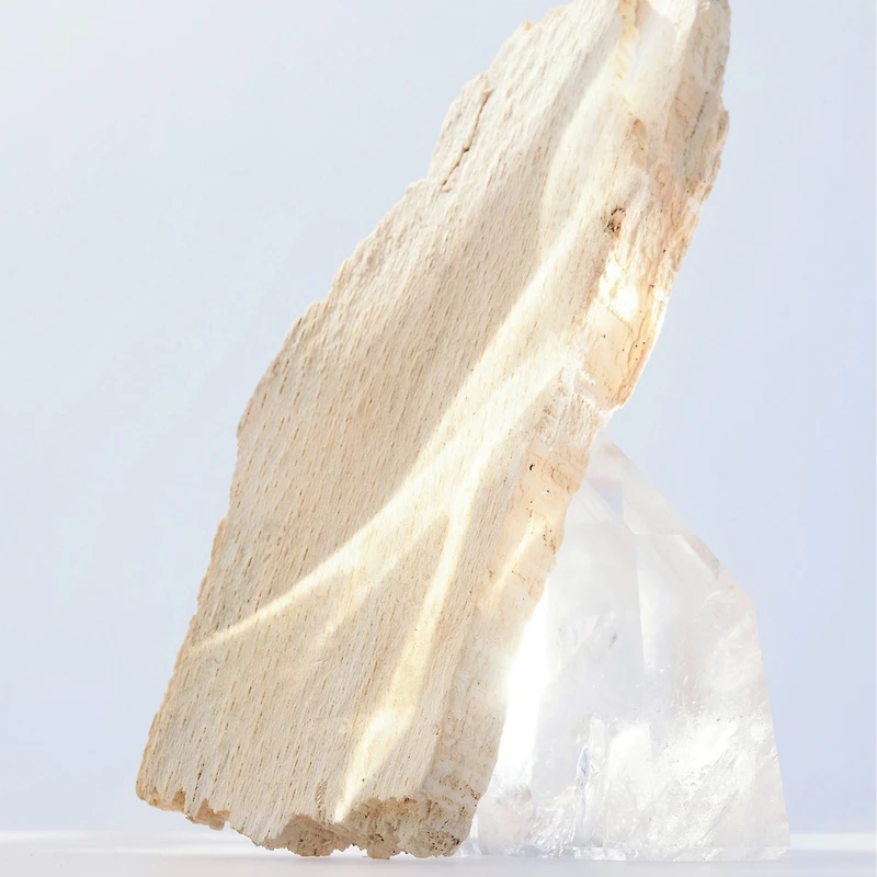 Omnia Crystalline Eau de Toilette