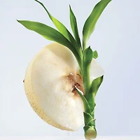 Omnia Crystalline Eau de Toilette