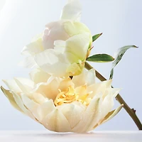 Omnia Crystalline Eau de Toilette