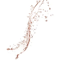 Vaporisateur Pour Le Visage À L'aloès