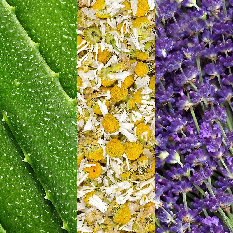 Vaporisateur pour le visage à l’aloès, la camomille et lavande