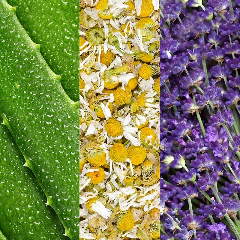 Vaporisateur pour le visage à l’aloès, la camomille et lavande