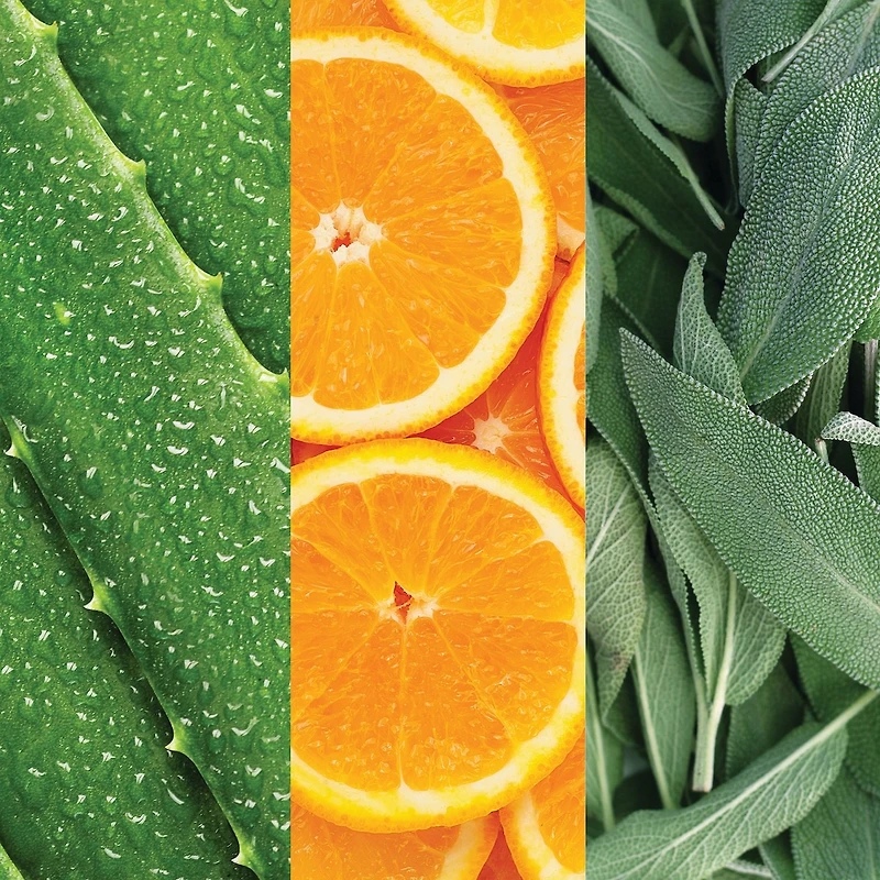 Facial Spray with Aloe, Sage & Orange Blossom 236ml