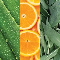 Facial Spray with Aloe, Sage & Orange Blossom 236ml