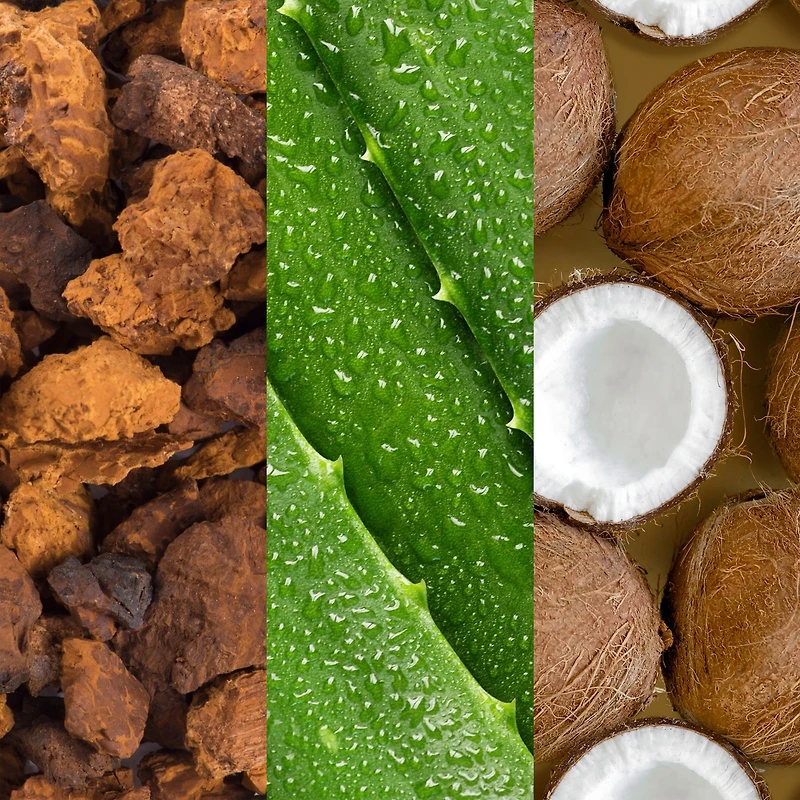 Facial Spray with Aloe, Adaptogens & Coconut Water 236ml