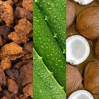 Facial Spray with Aloe, Adaptogens & Coconut Water 236ml