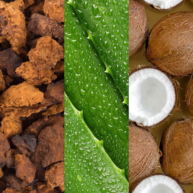 Facial Spray with Aloe, Adaptogens & Coconut Water 118ml