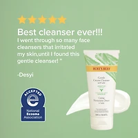 Sensitive Solutions Gentle Facial Cream Cleanser, Daily Face Wash for Sensitive Skin with Aloe, 98.9% Natural Origin, Developed with Dermatologists