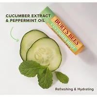 Baume hydratant pour les lèvres d’origine naturelle à 100 % au concombre et à la menthe de Burt’s Bees, 1 tube