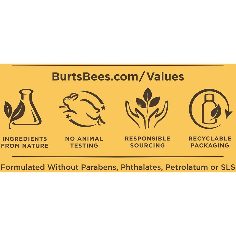 Baume hydratant pour les lèvres d’origine naturelle à 100 % au concombre et à la menthe de Burt’s Bees, 1 tube