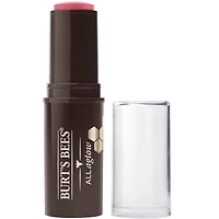 Bâtonnet pour lèvres et pommettes Teint rayonnant naturel à 100 % de Burt’s Bees