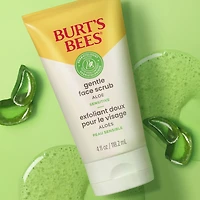 Gentle Face Scrub with Aloe for Sensitive Skin, 98.9% Natural Origin