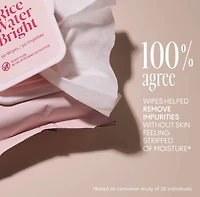 The Face Shop Rice Water Bright Vegan Cleansing Facial Wipes
