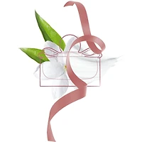 Signorina Eau de Parfum