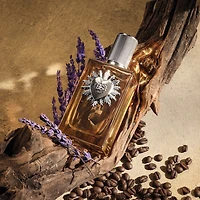 Devotion Pour Homme Parfum