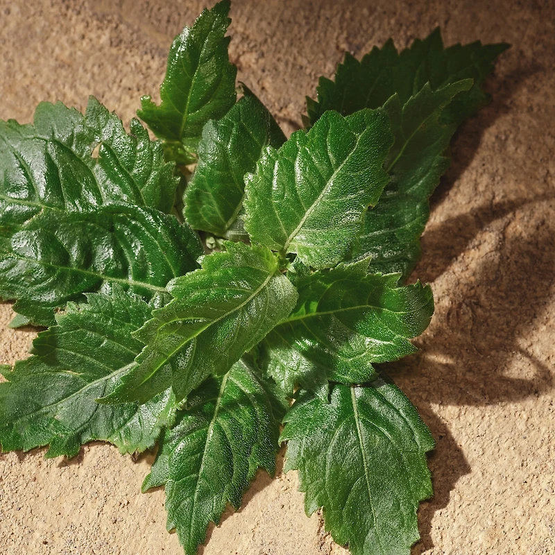 Ensemble-cadeau de voyage eau de parfum Devotion de Dolce&Gabbana pour homme