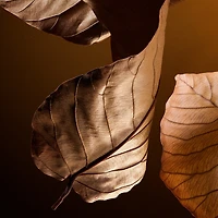 The One Pour Homme Parfum with Tobacco