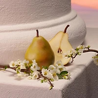 My Devotion Eau de Parfum Intense with Peony & Vanilla