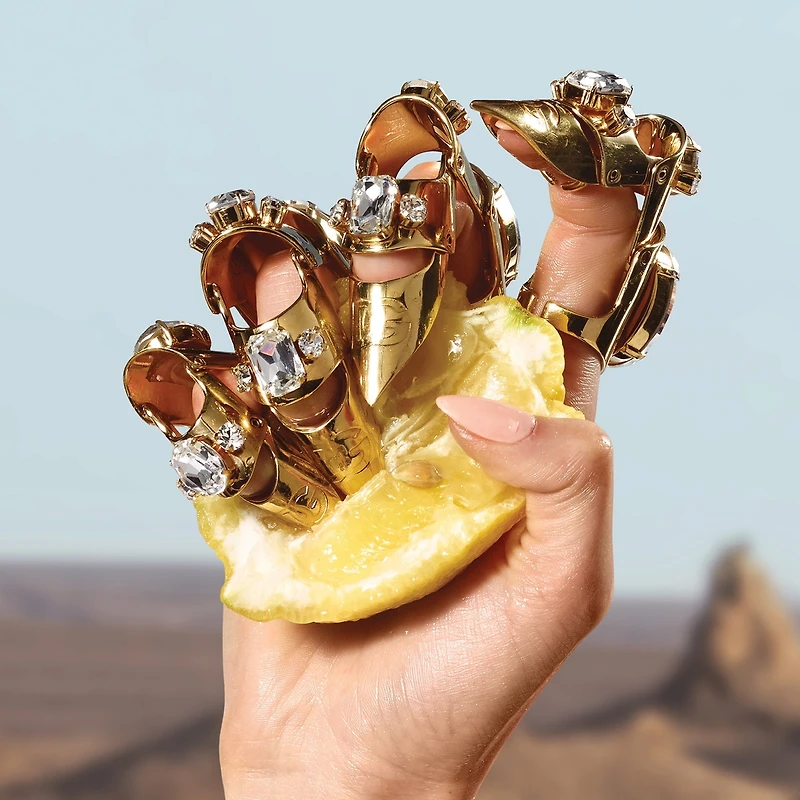 Q by Dolce&Gabbana