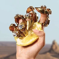 Q by Dolce&Gabbana