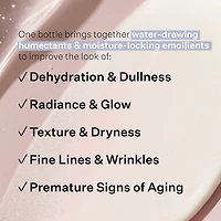 Multi-Action Hydration Multiplier HYALURONIC ACID SERUM