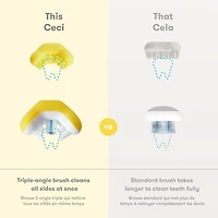 Brosse D’Apprentissage Pour Tout-petits