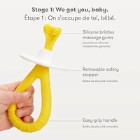 Ensemble De Brosses À Dents D’Apprentissage « Grow With Me »