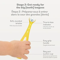 Ensemble De Brosses À Dents D’Apprentissage « Grow With Me »
