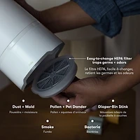 Purificateur D’Air + Machine À Bruit + Veilleuse 3-en-1