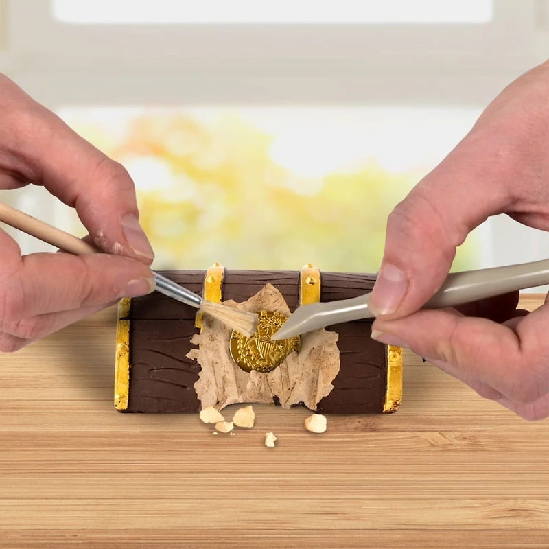 Kit de fouille de doubloon en or National Geographic