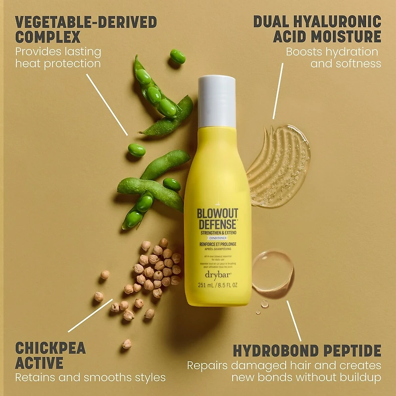 Blowout Defense Strengthen & Extend Conditioner