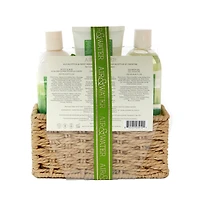 Body Essentials Trio