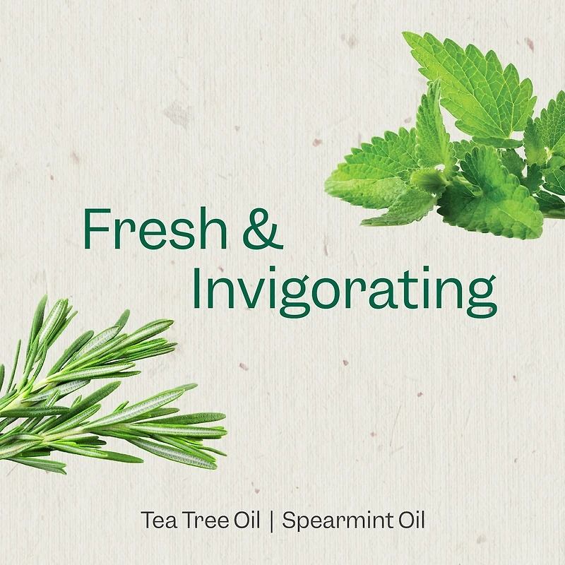 Tea Tree & Mint Purifying Body Wash