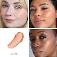 blush poudre hydratant ReDimension