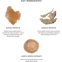 hair Rejuvenation Treatment Kit (100% Drug Free)
Travel Size, 30 day