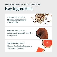 Shampoing Et Après-shampooing Réparateurs : Duo Format Pro