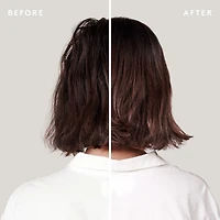 Shampoing Et Après-shampooing Complets : Duo Format Pro