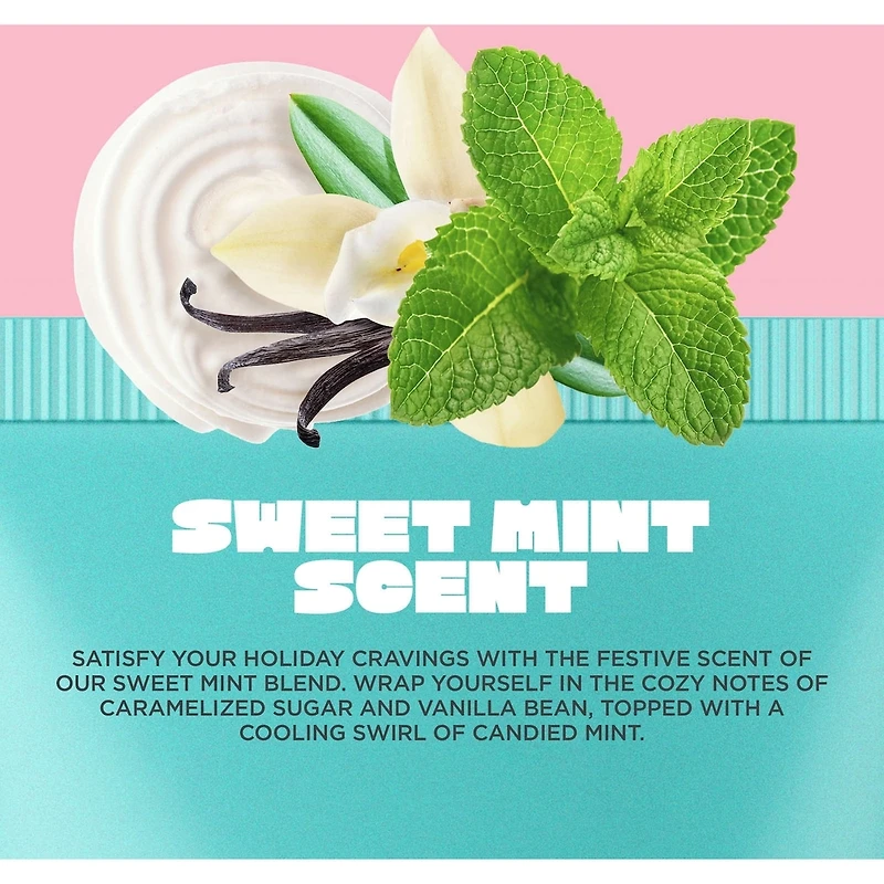 Minty Mood Body Lotion & Foot Cream Set