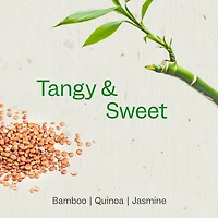 Shampooing Renpure au bambou et au quinoa