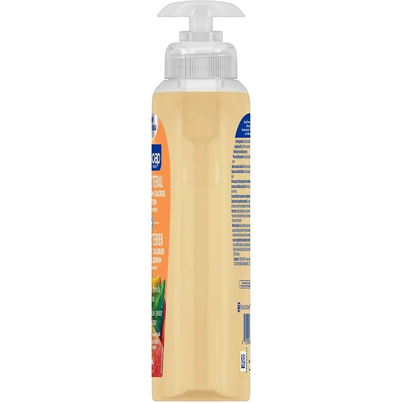 SoftSoap Liquid Hand Soap 332ML CS SP Antibactérien Kitchen Fresh