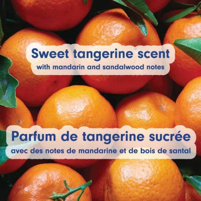 Liquid Hand Soap, Midnight Blooms Scent, Pump Bottle