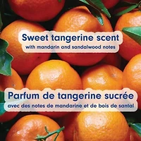 Liquid Hand Soap, Midnight Blooms Scent, Pump Bottle