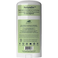 Sunny Citrus Antisudorifique