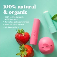 Bâtonnet-baume pour les lèvres naturel et biologique à 100 % - Gousse de vanille