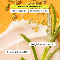 eos Baume à lèvres 100 % naturel et biologique, trois tubes - Menthe douce, Gousse de vanille