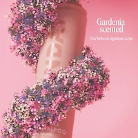 Shampooing Sec ORIGINAL